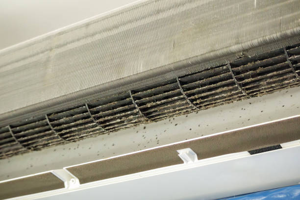 Best HVAC Duct Inspection Services  in Aurora, MN